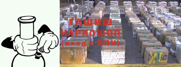 прущие грибы Аркадак