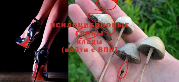 метадон Армянск