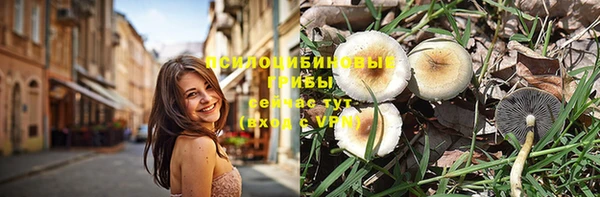 метадон Армянск