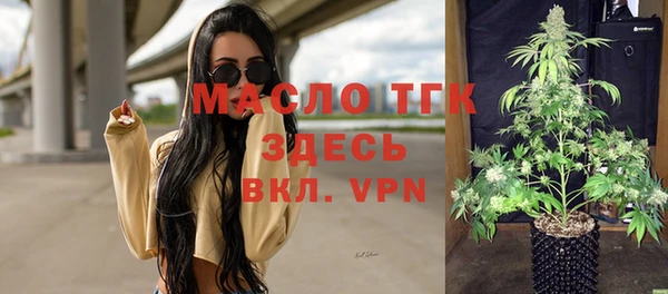 прущие грибы Аркадак
